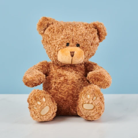 Teddy Bear 22cm