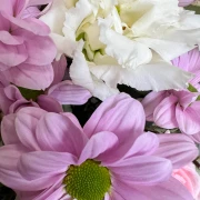Marmalade Bouquet - image №3