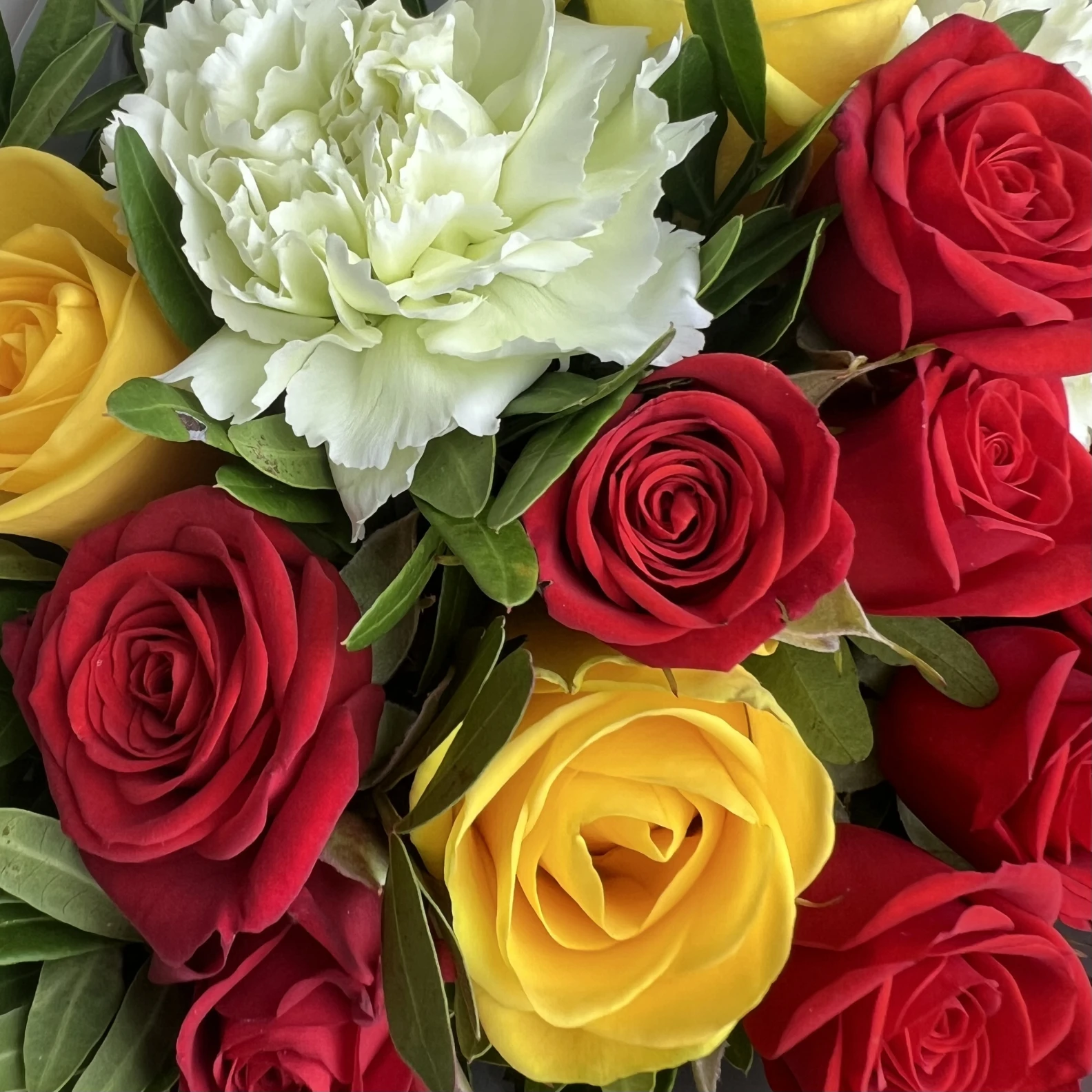 Sweet Morning - image №2