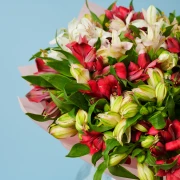 Delight - image №3