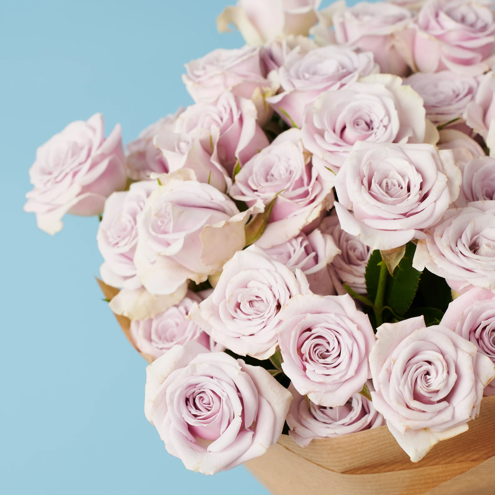 10 Spray Purple Roses - image №3